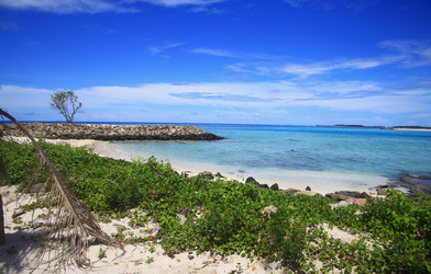 Similar image 22347562