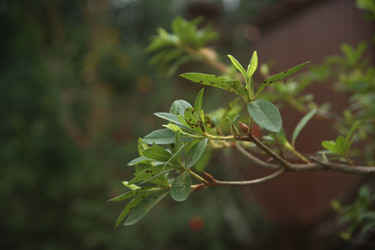 Similar image 22347563