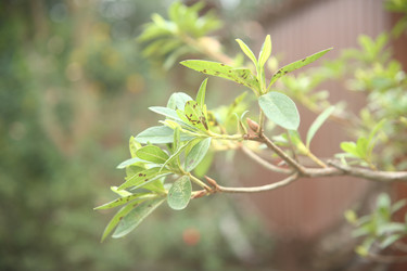 Similar image 22347564