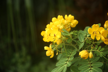 Similar image 22347565