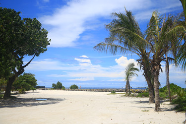 Similar image 22347566