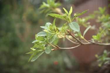 Similar image 22347568