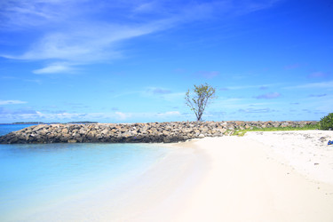 Similar image 22347569