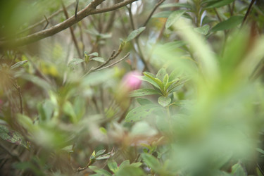 Similar image 22347570