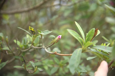 Similar image 22347572