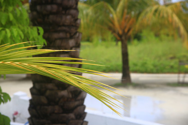 Similar image 22347575