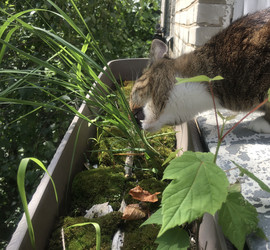 Similar image 22348028