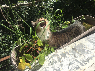 Similar image 22348031