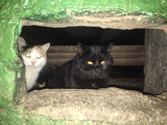 Similar image 22347576