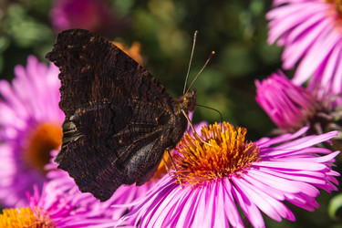 Similar image 22347585