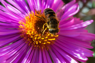 Similar image 22347586