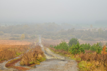 Similar image 22347588