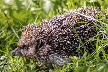 Similar image 22347601