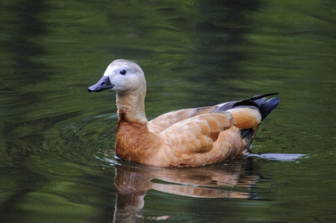 Similar image 22347602