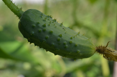 Similar image 22347605