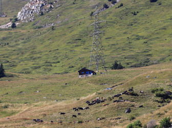 Similar image 22347305