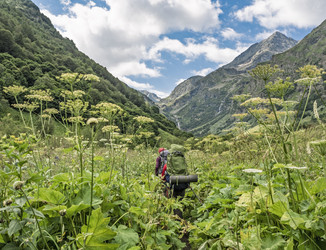 Similar image 22347617