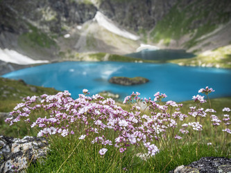 Similar image 22347618