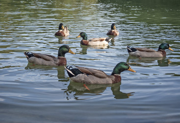 Similar image 22347690