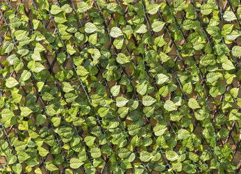 Similar image 22340273