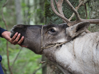 Similar image 22347742