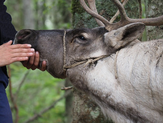 Similar image 22347743