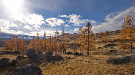 Similar image 22342398