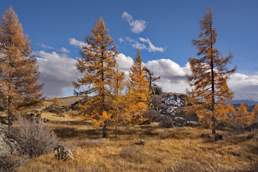 Similar image 22342400