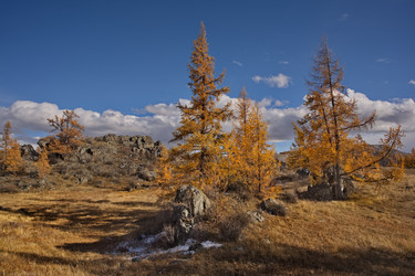 Similar image 22342620