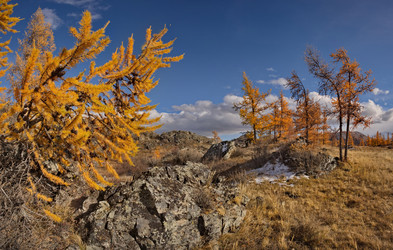 Similar image 22342622