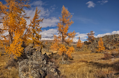 Similar image 22342624