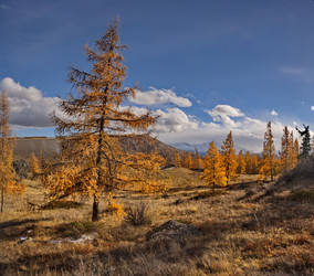 Similar image 22342630