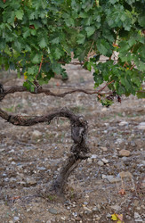 Similar image 22342634