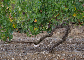 Similar image 22342268