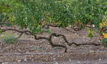 Similar image 22342270