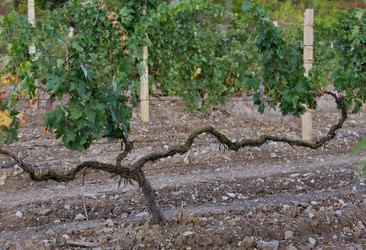 Similar image 22342272