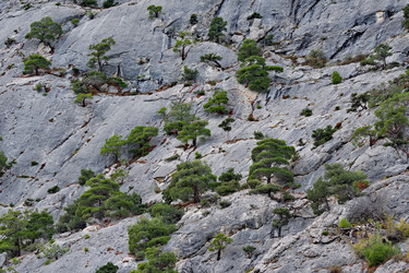 Similar image 22342274