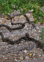 Similar image 22342276