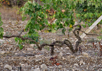 Similar image 22342278