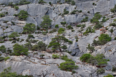 Similar image 22342287