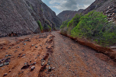 Similar image 22342295