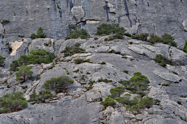 Similar image 22342297