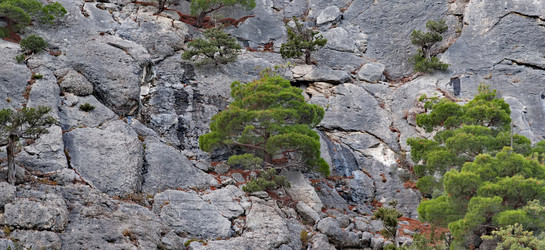 Similar image 22342366