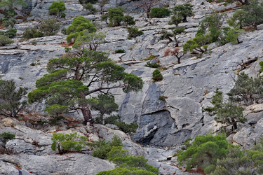 Similar image 22342370