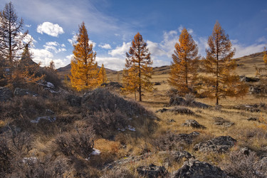 Similar image 22342383