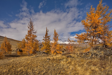 Similar image 22342385