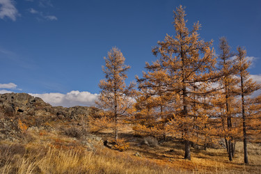 Similar image 22342387