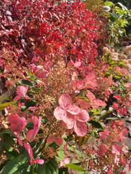 Similar image 22345740