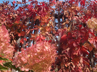 Similar image 22345742