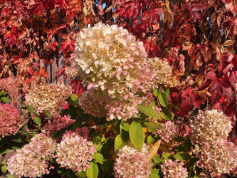 Similar image 22345744